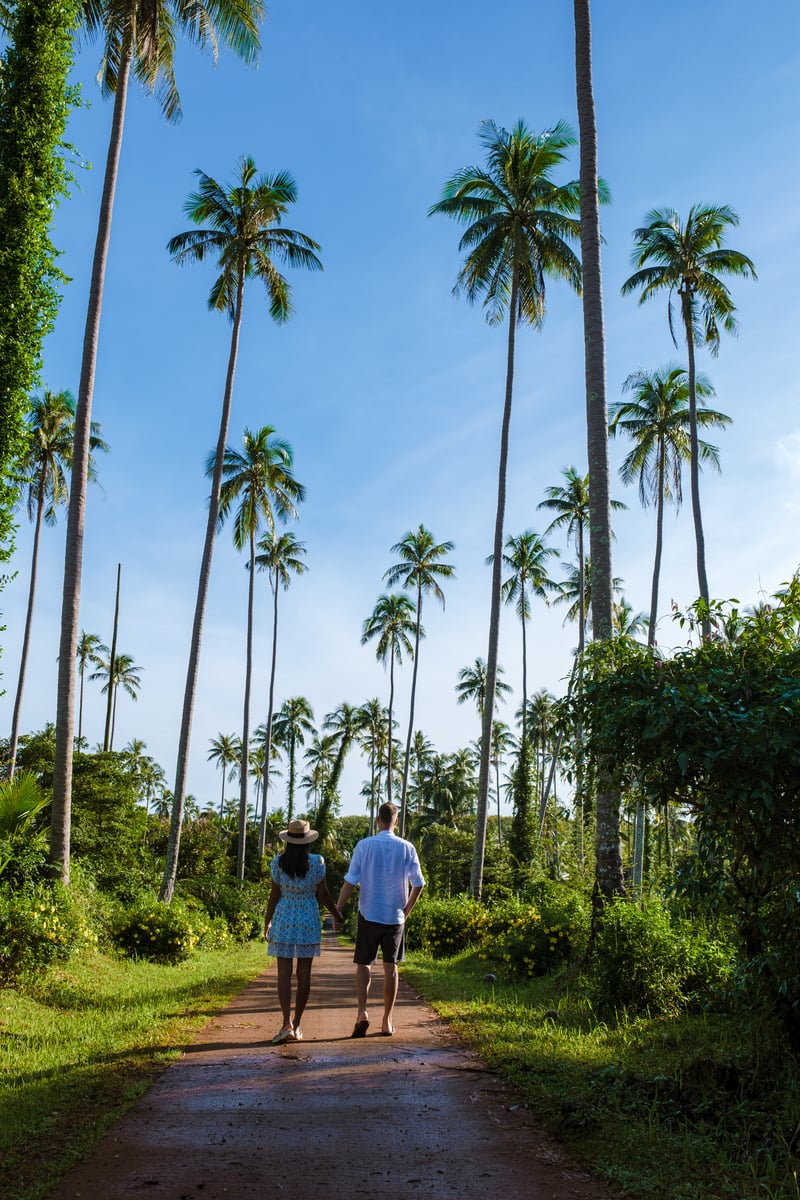 Wildlife Safari & Luxury Coastal Escape